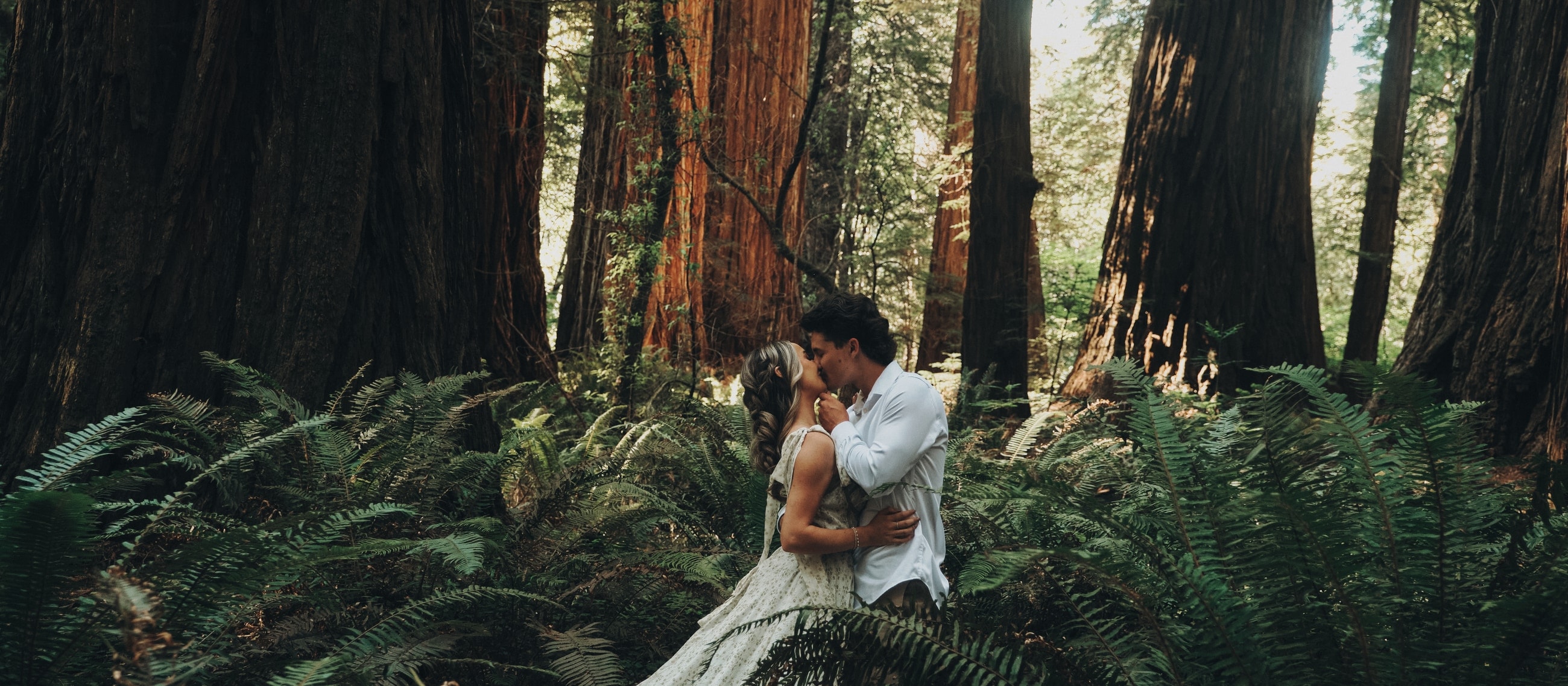 Bride and groom among the redwoods, gown across the forest floor